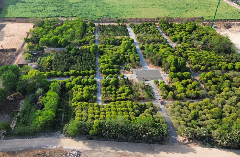 南昌九洲公園稻香園及植物園項(xiàng)目沖刺：農(nóng)旅融合打造生態(tài)文旅新地標(biāo)